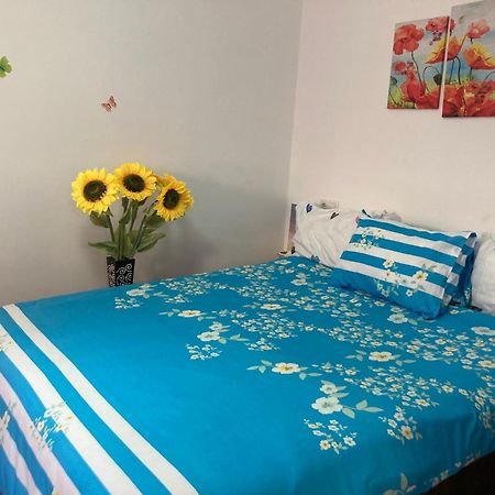 브라쇼브 Cosy Hideaway 아파트 외부 사진