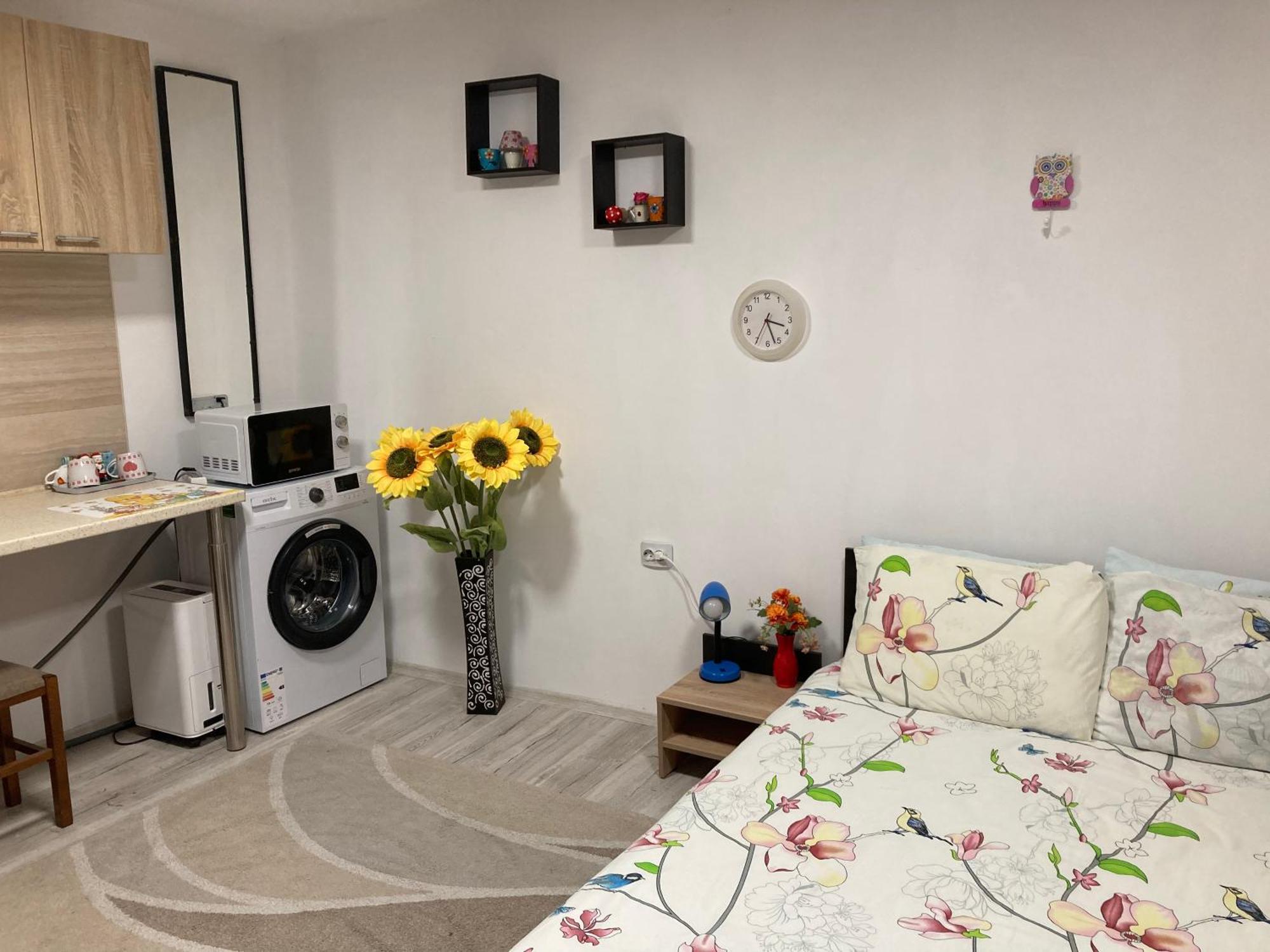 브라쇼브 Cosy Hideaway 아파트 외부 사진
