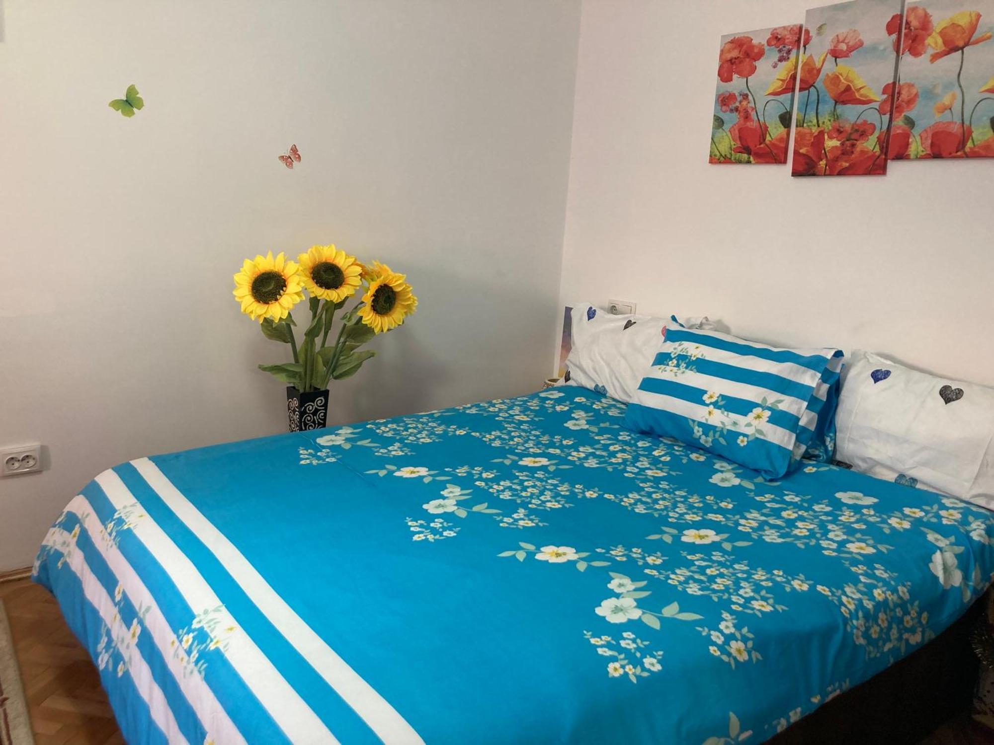 브라쇼브 Cosy Hideaway 아파트 외부 사진